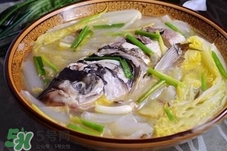 得了猩紅熱可以吃魚(yú)嗎?感染猩紅熱能吃魚(yú)嗎?