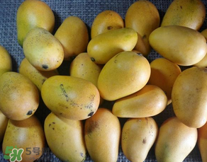 芒果爛了一點(diǎn)能吃嗎？芒果爛了一半還能吃嗎？