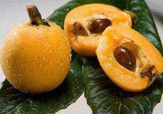 枇杷和菠蘿能一起吃嗎？菠蘿和枇杷一起吃會(huì)中毒嗎？