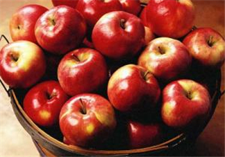 天天吃蘋果能減肥嗎？天天吃蘋果對(duì)皮膚好嗎？