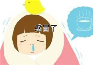 為什么總是感冒？總是感冒怎么回事？