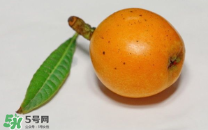 枇杷可以和蔥一起煮嗎？蔥和枇杷葉一起煮可以喝嗎？