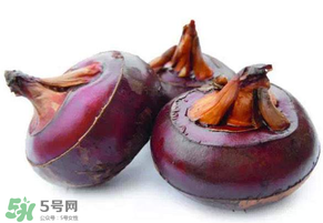 枇杷可以和荸薺一起煮水嗎？枇杷和荸薺能一起吃嗎？