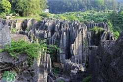 4月份去重慶穿什么？四月份去重慶穿什么衣服？