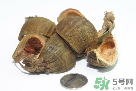 檳榔的營養(yǎng)價(jià)值 檳榔的功效與作用 檳榔的營養(yǎng)價(jià)值 檳榔的功效與作用