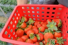 草莓是低糖水果嗎？草莓含糖量高嗎？