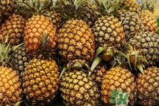 菠蘿是低糖水果嗎？菠蘿含糖量高嗎？