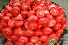 蓮霧和什么不能一起吃？什么人不適合吃蓮霧？