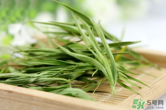 淡竹葉的功效與作用 淡竹葉有什么功效？