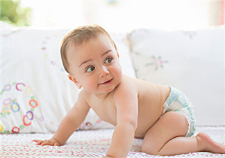 寶寶幾個(gè)月會(huì)坐會(huì)爬 寶寶幾個(gè)月爬正常