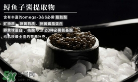 至本是什么牌子？至本什么檔次？