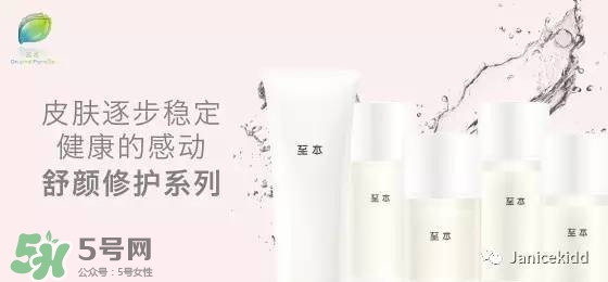 至本是什么牌子？至本什么檔次？