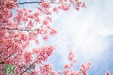 倒春寒吃什么食物？倒春寒吃什么御寒？