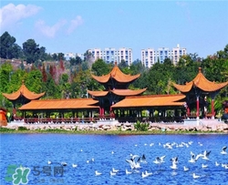 4月份去昆明穿什么？四月份去昆明穿什么衣服？