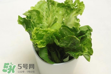 春菜為什么會(huì)苦？春菜發(fā)苦能吃嗎？