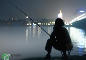 春分能夜釣嗎？春分能釣鯉魚嗎？