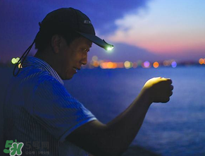 春分能夜釣嗎？春分能釣鯉魚嗎？