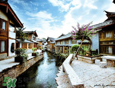 4月份去麗江穿什么？四月份去麗江穿什么衣服？