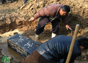 清明節(jié)能下葬嗎？2017年清明節(jié)前下葬吉日