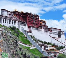 4月份去拉薩穿什么？四月份去拉薩穿什么衣服？