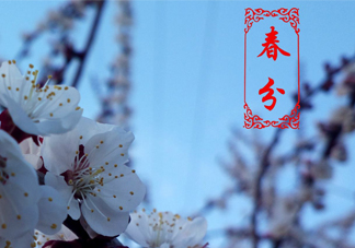 春菜為什么會苦？春菜發(fā)苦能吃嗎？