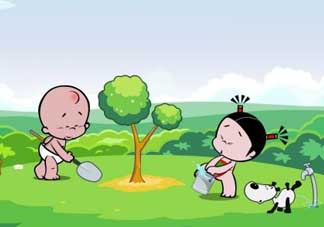 清明節(jié)種什么樹？清明節(jié)為什么種樹？