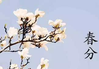 春分吃什么傳統(tǒng)食物？南方人春分節(jié)氣吃什么？