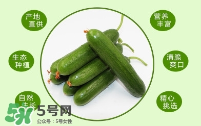 拉肚子能吃黃瓜嗎 拉肚子可以吃黃瓜嗎 拉肚子能吃黃瓜嗎 拉肚子可以吃黃瓜嗎