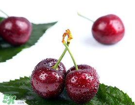 櫻桃怎么保存才新鮮？櫻桃怎么保存時間長？