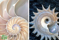 珍珠貝母表盤好嗎？珍珠貝母表盤耐用嗎？