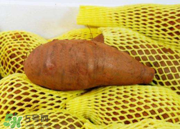 雪蓮果裂開(kāi)可以吃嗎？雪蓮果裂了還能吃嗎？