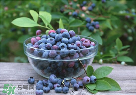 藍莓一天吃多少為宜？藍莓每天吃多少合適？