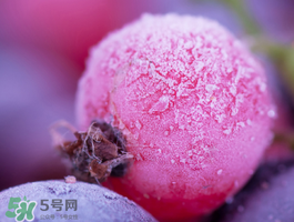 藍莓變紅可以吃嗎？藍莓發(fā)紅是壞掉了嘛？