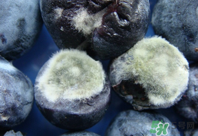 藍(lán)莓發(fā)霉還能吃嗎？藍(lán)莓發(fā)霉怎么辦？