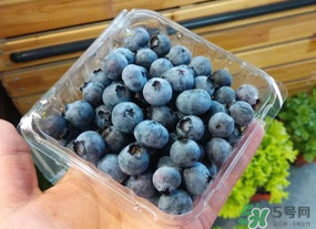 盒裝藍(lán)莓要洗嗎？盒裝藍(lán)莓怎么洗？