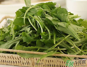 薺菜有毒嗎？吃薺菜會中毒嗎？