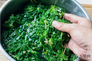 薺菜有草酸嗎？薺菜草酸高嗎？