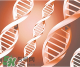 女人下面黑好不好？女人下面黑怎么變淺