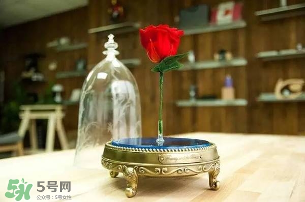 camino美女與野獸音響多少錢？camino玫瑰藍(lán)牙音箱價(jià)格