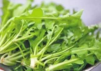 便秘能吃薺菜嗎？便秘可以吃薺菜嗎？