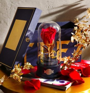 野獸派美女與野獸水晶球多少錢？野獸派音樂(lè)水晶球價(jià)格