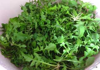 薺菜和醋能一起吃嗎？醋拌薺菜能吃嗎？