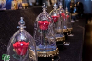 camino美女與野獸音響多少錢？camino玫瑰藍(lán)牙音箱價(jià)格