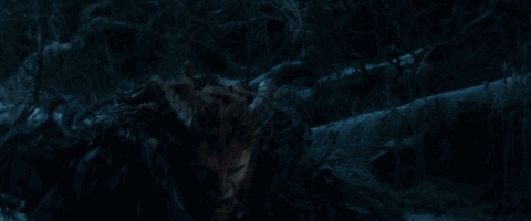 野獸派美女與野獸水晶球多少錢？野獸派音樂(lè)水晶球價(jià)格