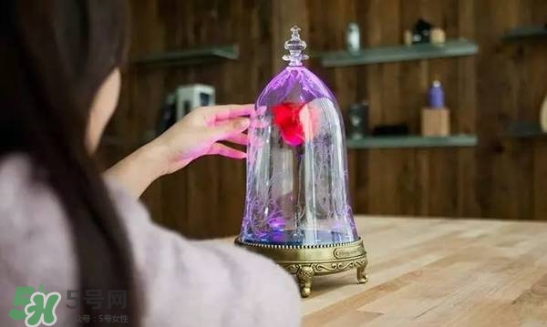 camino美女與野獸音響多少錢？camino玫瑰藍(lán)牙音箱價(jià)格