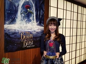 camino美女與野獸音響多少錢？camino玫瑰藍(lán)牙音箱價(jià)格