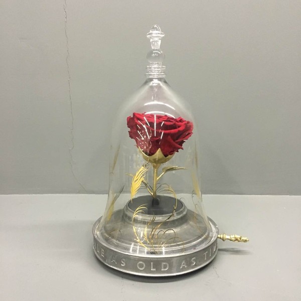 野獸派美女與野獸水晶球多少錢？野獸派音樂(lè)水晶球價(jià)格