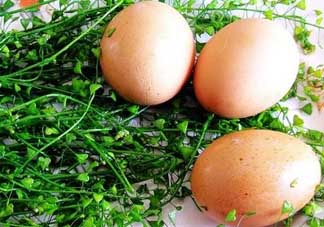 三月三為什么要吃雞蛋？三月三吃雞蛋的由來(lái)