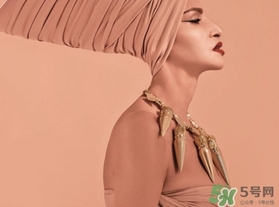 蘿卜丁口紅為什么火？蘿卜丁口紅圖片