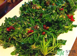 野生薺菜孕婦能吃嗎？野薺菜孕婦可以吃嗎？